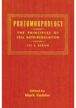 Protomorphology