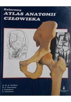 Kolorowy atlas anatomii człowieka