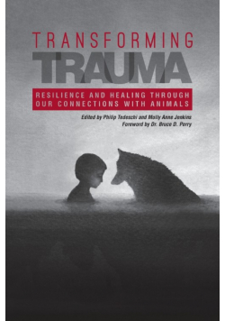 Transforming Trauma