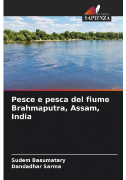 Pesce e pesca del fiume Brahmaputra, Assam, India
