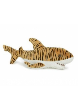 Rekin tygrysi 43cm