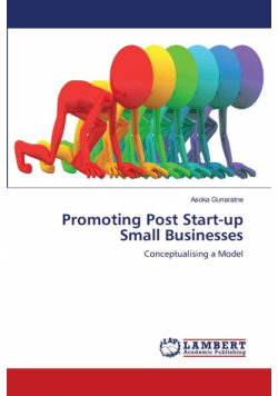 Promoting Post Start-up Small Businesses