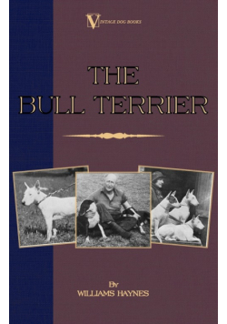 The Bull Terrier