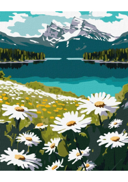 Malowanie po numerach - Kwitnące stokrotki 40x50cm