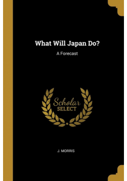 What Will Japan Do?
