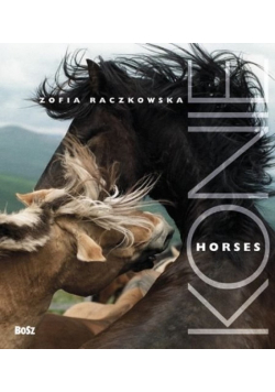 Konie Horses
