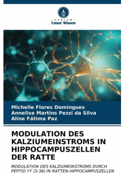 Modulation Des Kalziumeinstroms In Hippocampuszellen Der Ratte