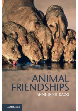 Animal Friendships