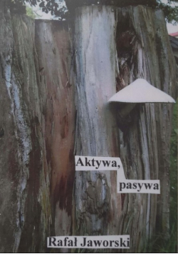 Aktywa pasywa