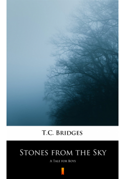 Stones from the Sky. A Tale for Boys