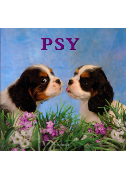 Psy