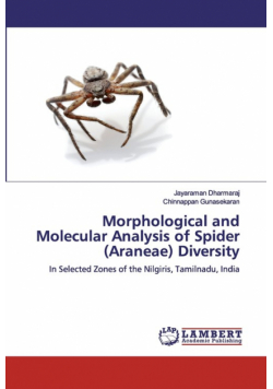 Morphological and Molecular Analysis of Spider (Araneae) Diversity