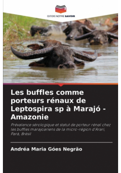 Les buffles comme porteurs rénaux de Leptospira sp à Marajó - Amazonie