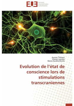 Evolution de l état de conscience lors de stimulations transcraniennes