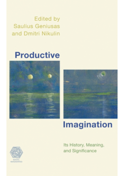 Productive Imagination