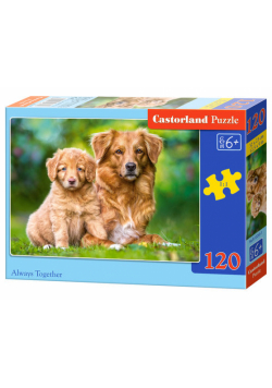 Puzzle Always Together 120