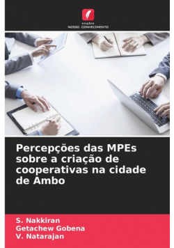 Percepções das MPEs sobre a criação de cooperativas na cidade de Ambo