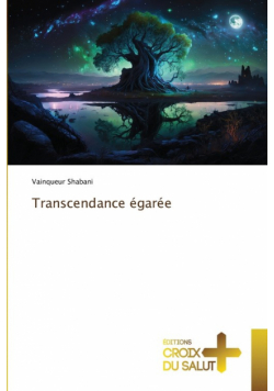 Transcendance égarée