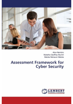 Assessment Framework for Cyber Security