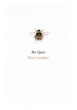 Bee quest