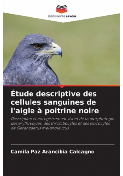 Étude descriptive des cellules sanguines de l'aigle à poitrine noire