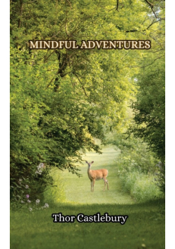 Mindful Adventures