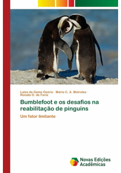 Bumblefoot e os desafios na reabilitação de pinguins