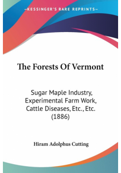 The Forests Of Vermont
