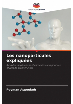Les nanoparticules expliquées