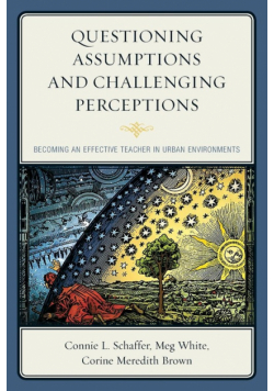 Questioning Assumptions and Challenging Perceptions