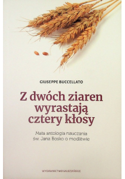 Z dwóch ziaren wyrastają cztery kłosy