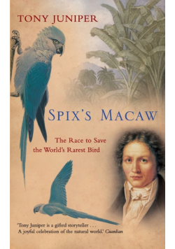 Spix's Macaw