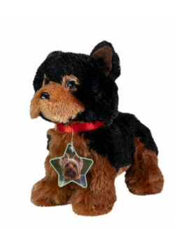 Lumo Yorkshire terrier Daisy classic