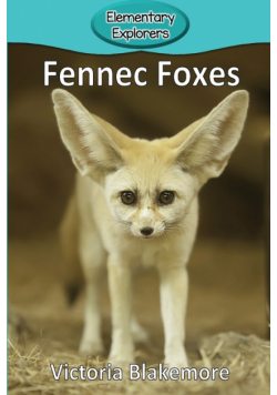 Fennec Foxes