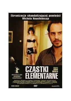 Cząstki elementarne, płyta DVD