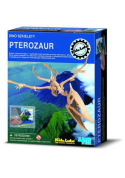 Dino szkielety Pterozaur