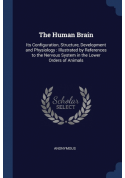 The Human Brain