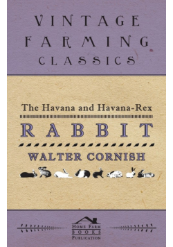 The Havana and Havana-Rex Rabbit