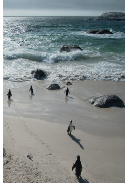 Alive! little penguin friends - Natural and shiny - Photo Art Notebooks (6 x 9 series)