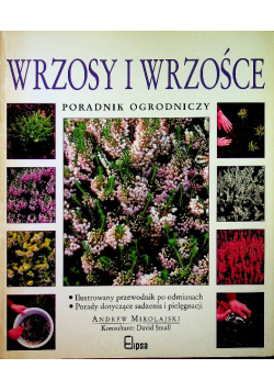 Wrzosy i wrzośce poradnik ogrodniczy