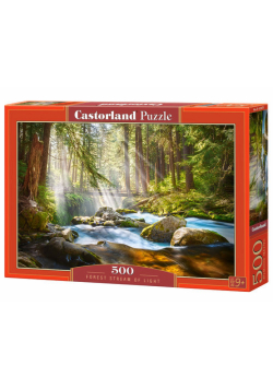 Puzzle Forest Stream of Light 500