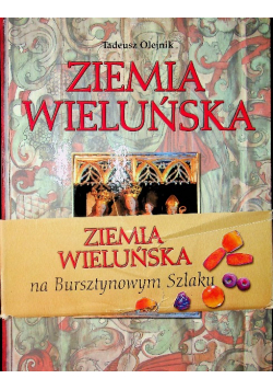 Ziemia wieluńska Skarby kultury i przyrody
