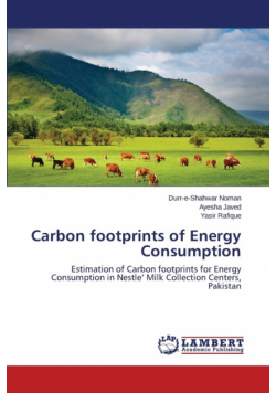 Carbon Footprints of Energy Consumption