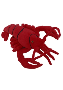 Homar 25cm