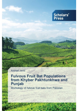 Fulvous Fruit Bat Populations from Khyber Pakhtunkhwa and Punjab