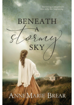 Beneath a Stormy Sky