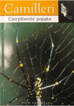 Cierpliwość pająka