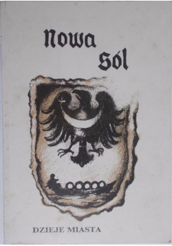 Nowa sól Dzieje miasta