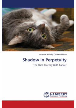 Shadow in Perpetuity