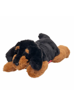 Jamnik leżący 35cm